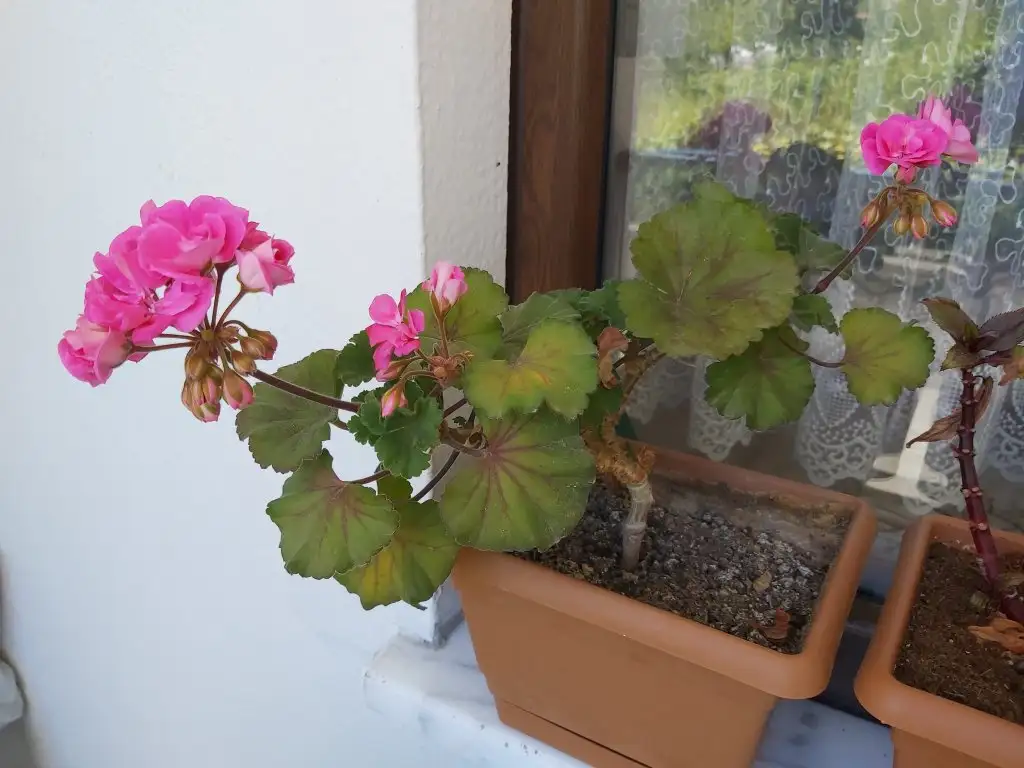20220520_130138.webp