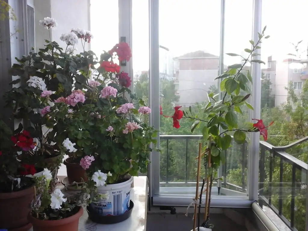 20220523_073040.webp