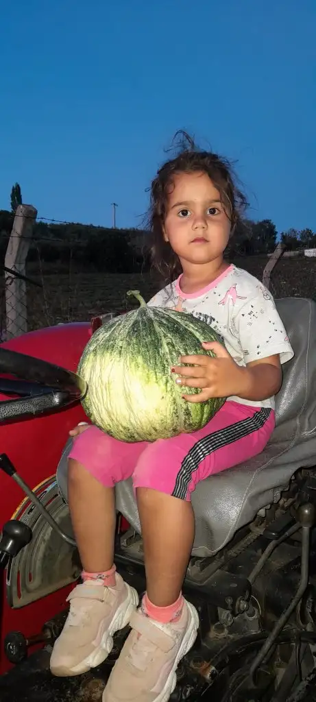 20220727_204437.webp