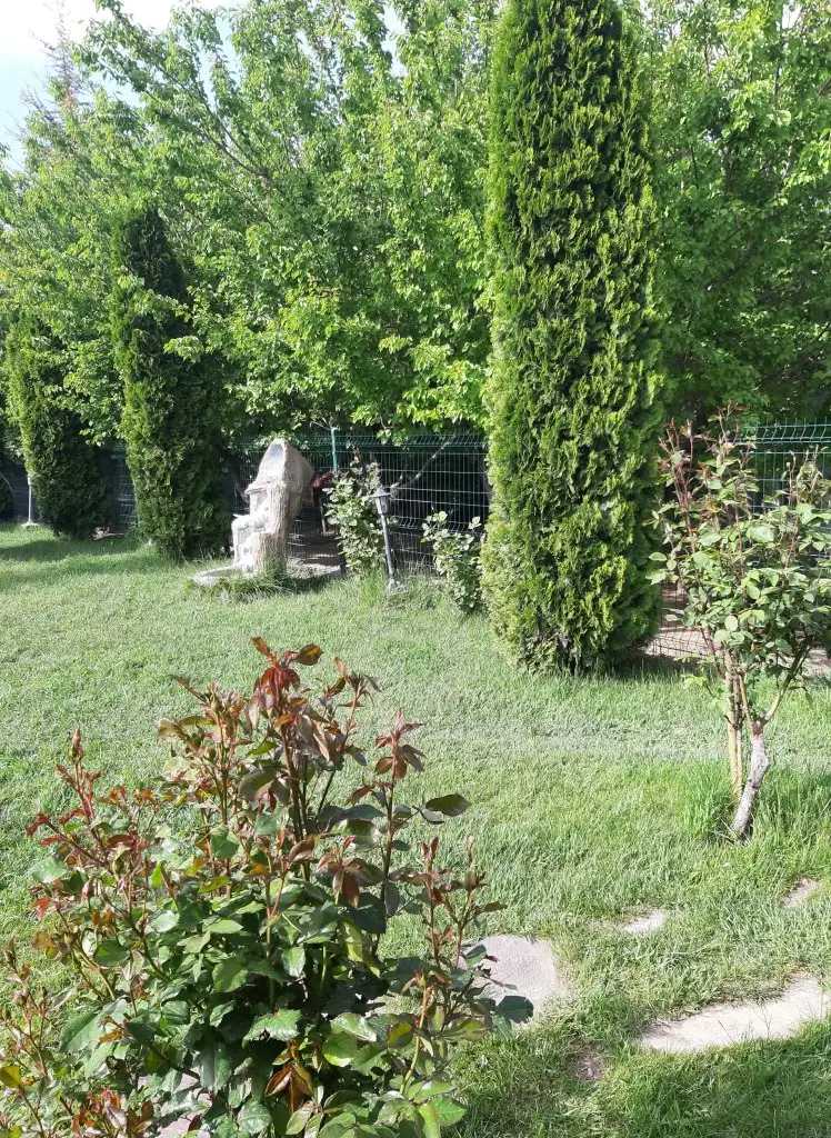 20220808_143432.jpg