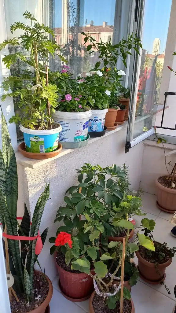 20220915_175436.jpg