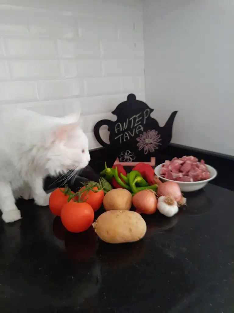 20221020_163029.webp