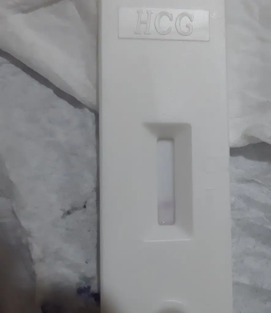20230408_010453.webp