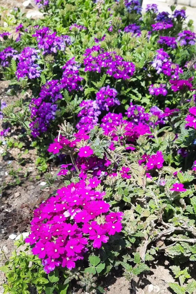 20230422_123555.webp