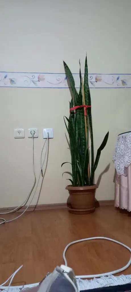 20230510_215909.webp
