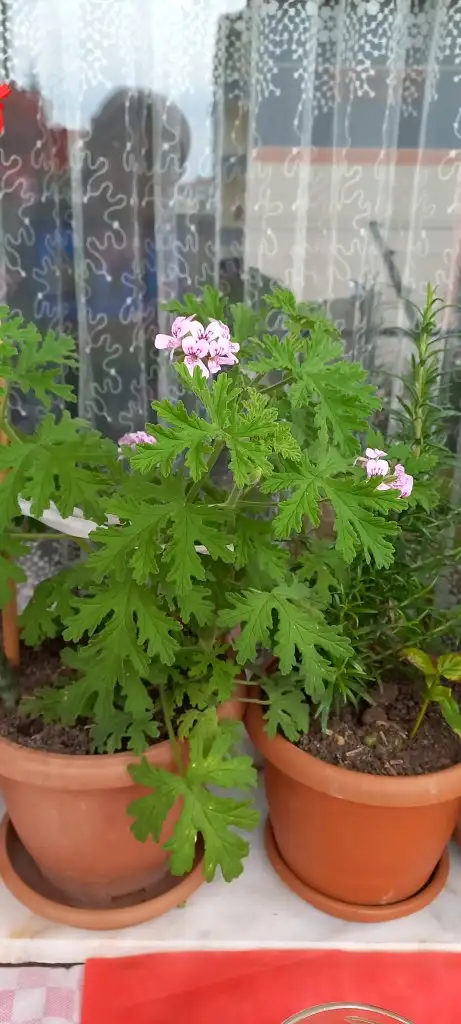 20230511_121237.jpg
