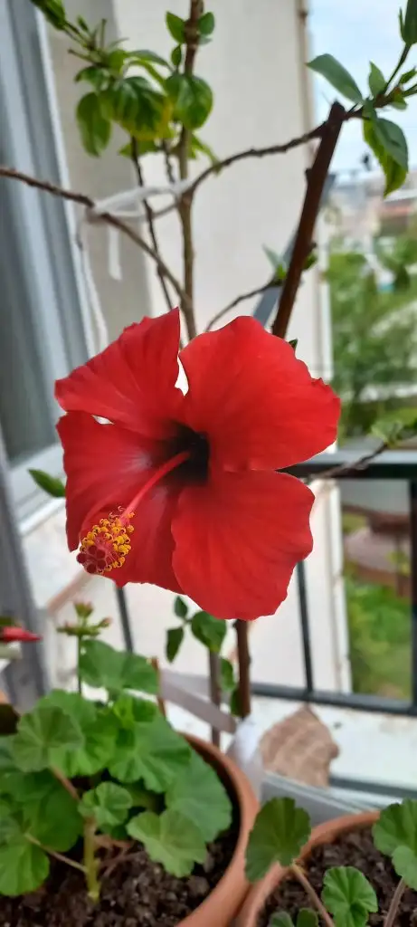 20230511_121246.jpg
