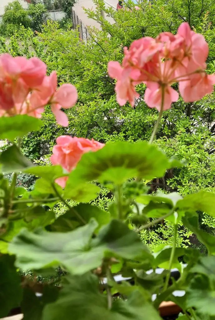 20230527_140446.jpg