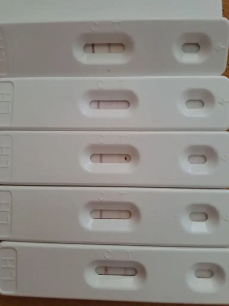 20230830_152857.jpg