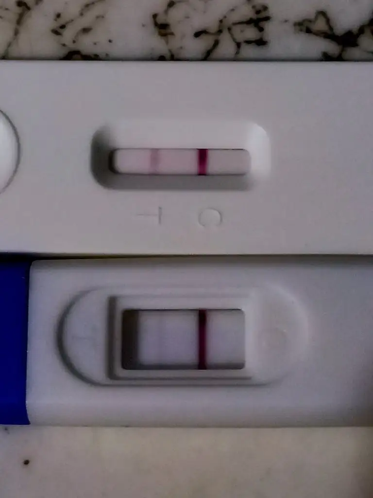 20230914_102227.jpg