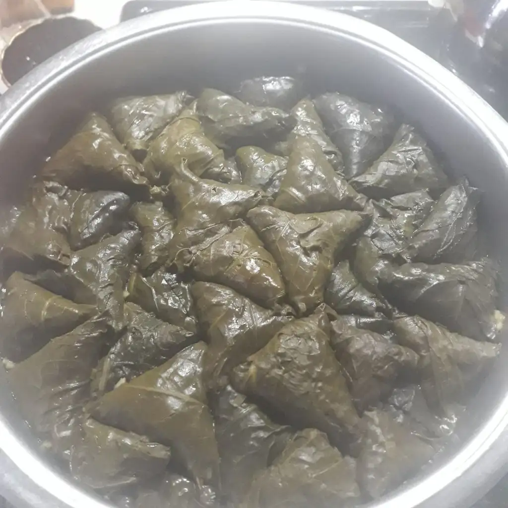 20231005_181308.jpg