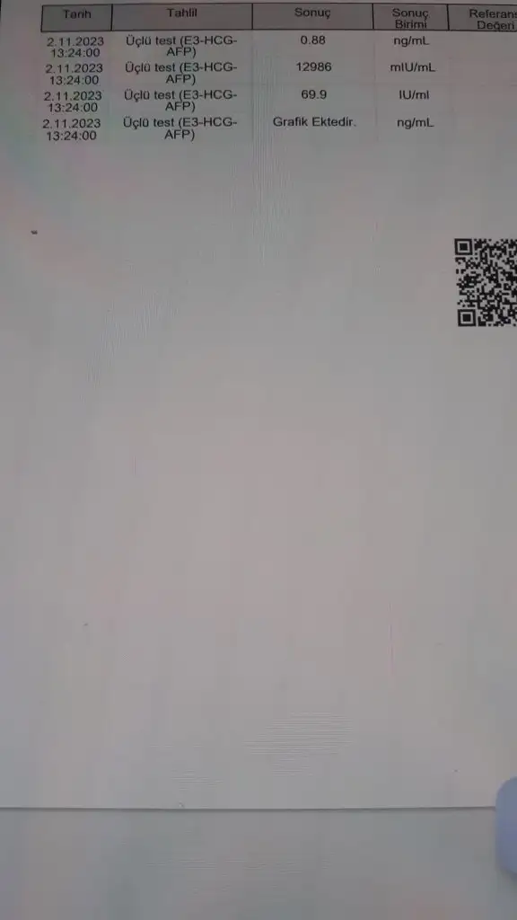 20231103_194848.webp