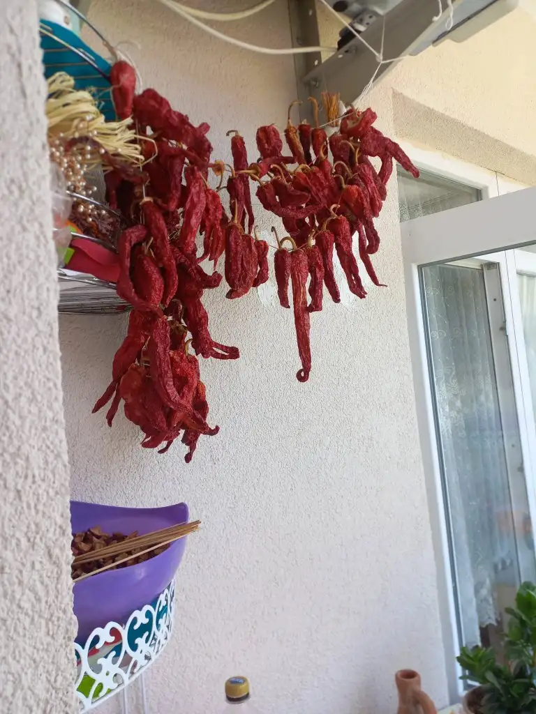 20240801_112833.webp