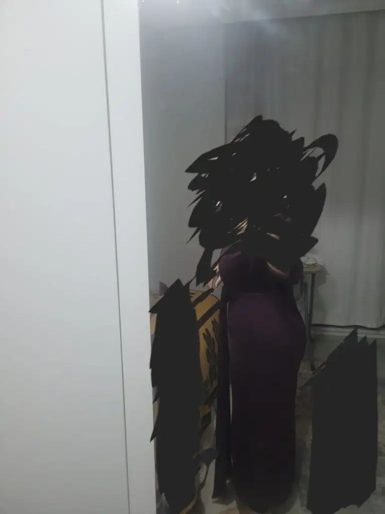 20241229_213117.webp