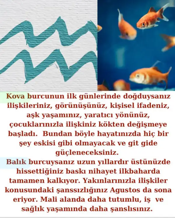 2025 yıllık (10).webp