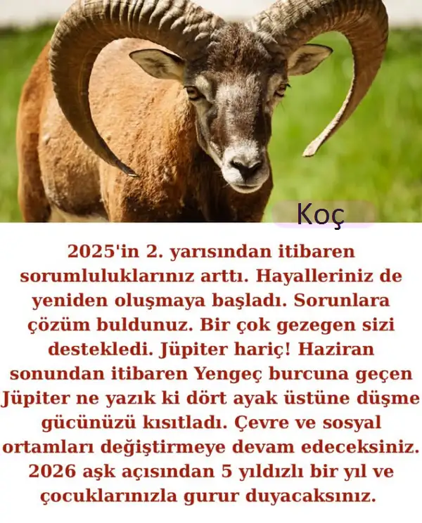 2025 yıllık (2).webp