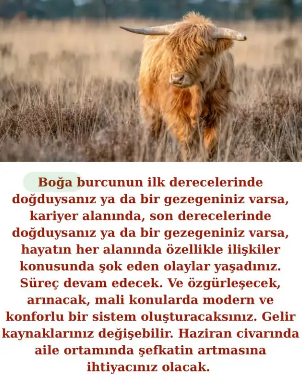 2025 yıllık (3).webp