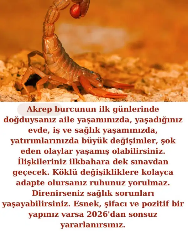 2025 yıllık (8).webp