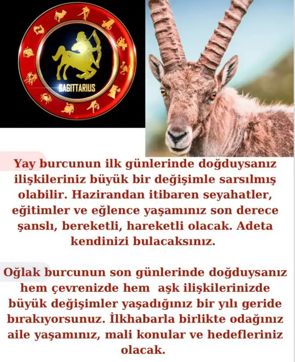 2025 yıllık (9).webp