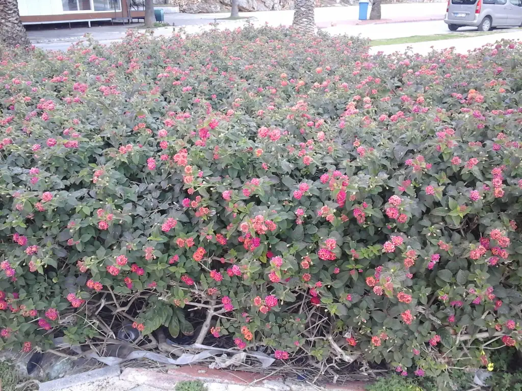 20250228_105532.webp