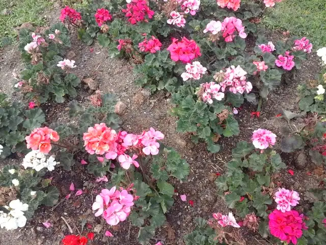 20250330_100120.webp