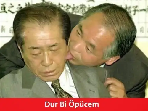 205_d.webp