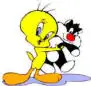 2061lj5.webp
