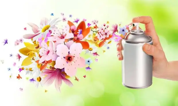 20664.webp