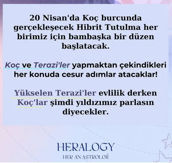 20n.webp