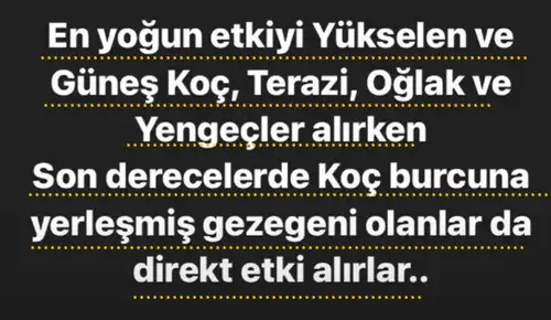 20nis (4).webp