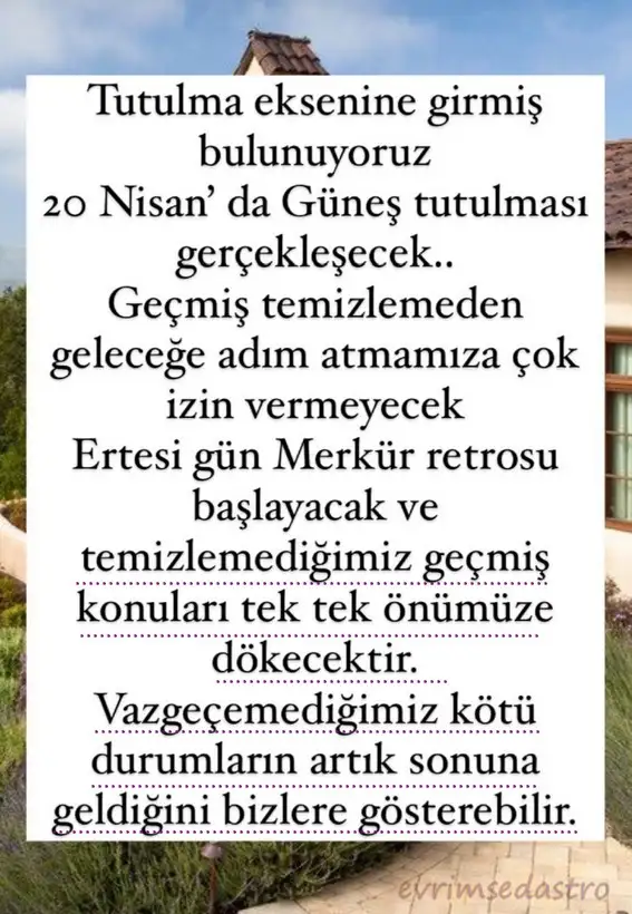 20nn.webp