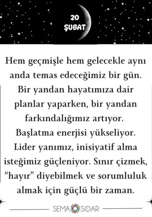 20şb.webp