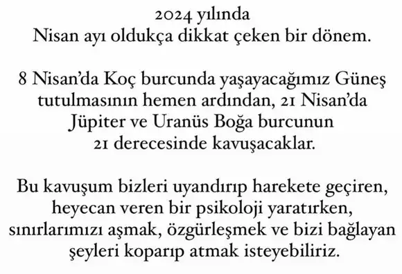 21 ni 1 (2).jpg