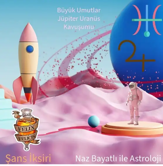 21 ni 1 (4).webp