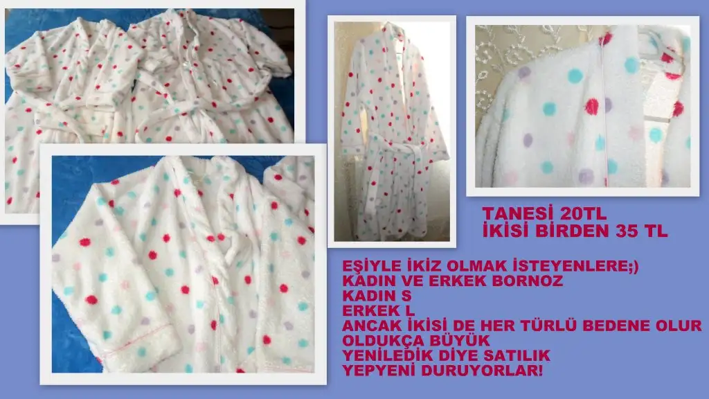 21.webp