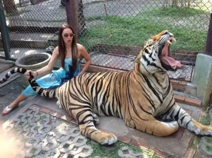 2105259-728x728.webp