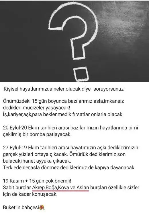 2121.webp