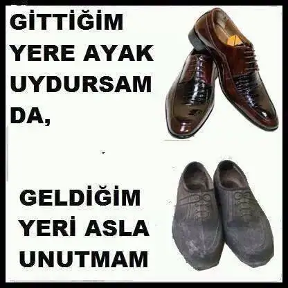 228279.webp