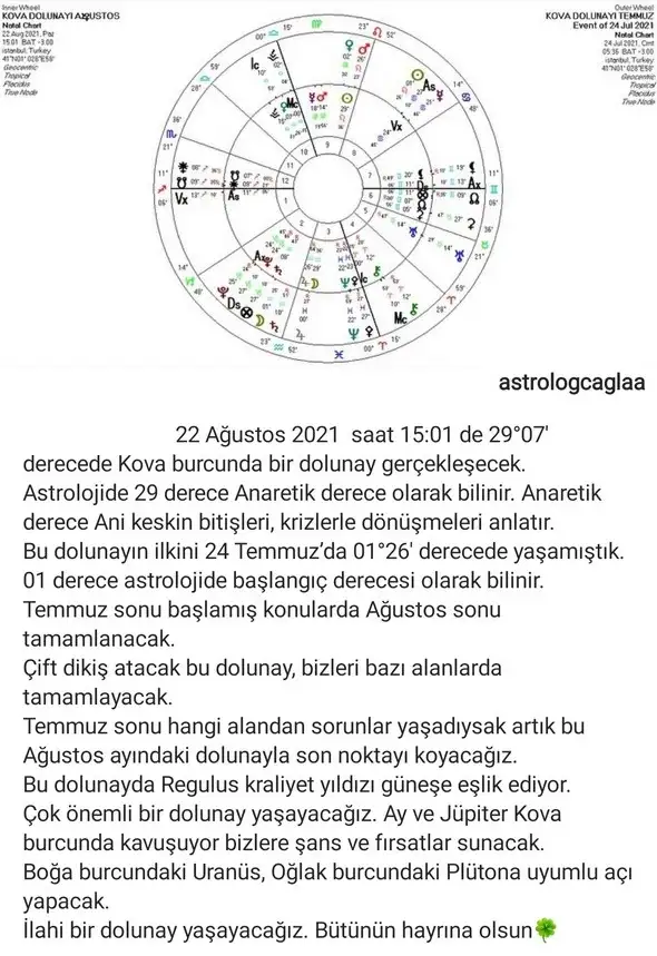 22a.webp