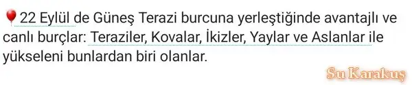 22eyl gün ter.webp