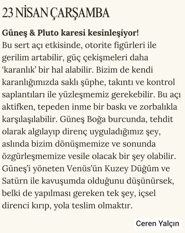 23 (2).webp