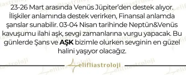 23 26 h.webp
