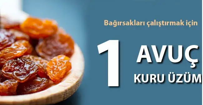 23.webp