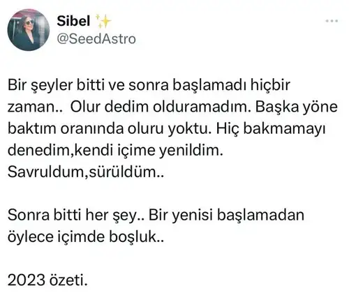 23.webp