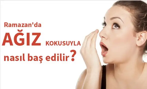 231.webp