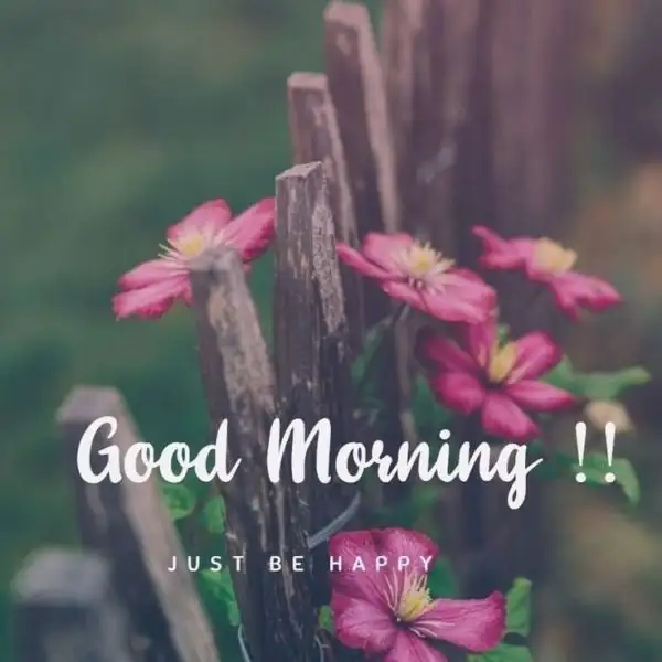 233b5ba44cdb97c1131bdc14fd52e8ae.webp