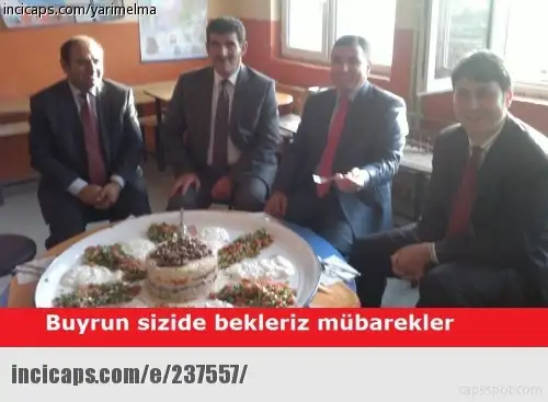 237557.webp