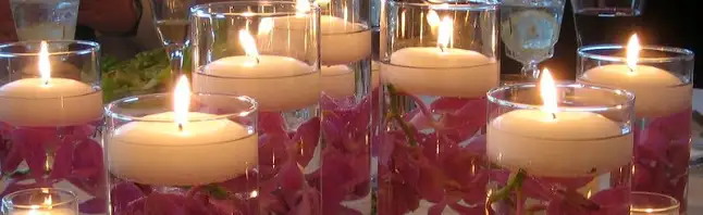 2376040.webp