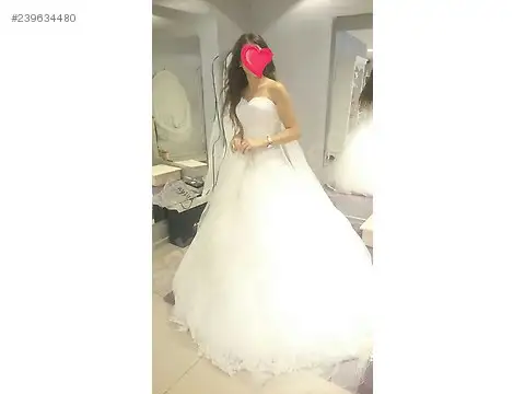 239634480c0j.webp