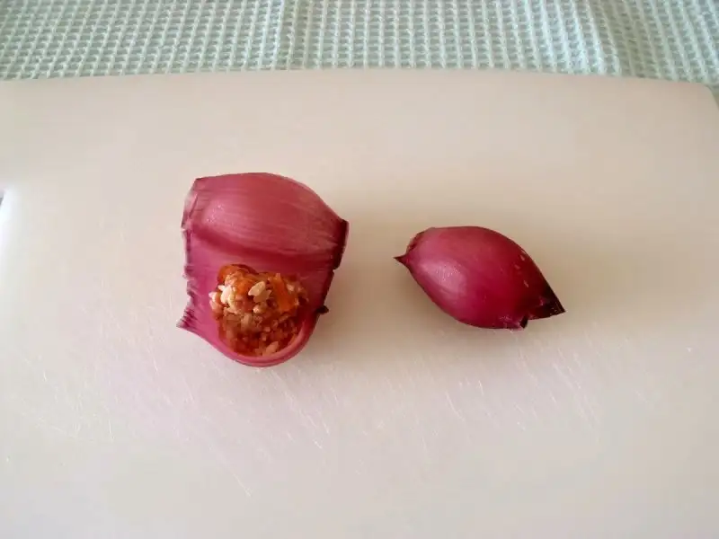 23f8b7fb_l.webp